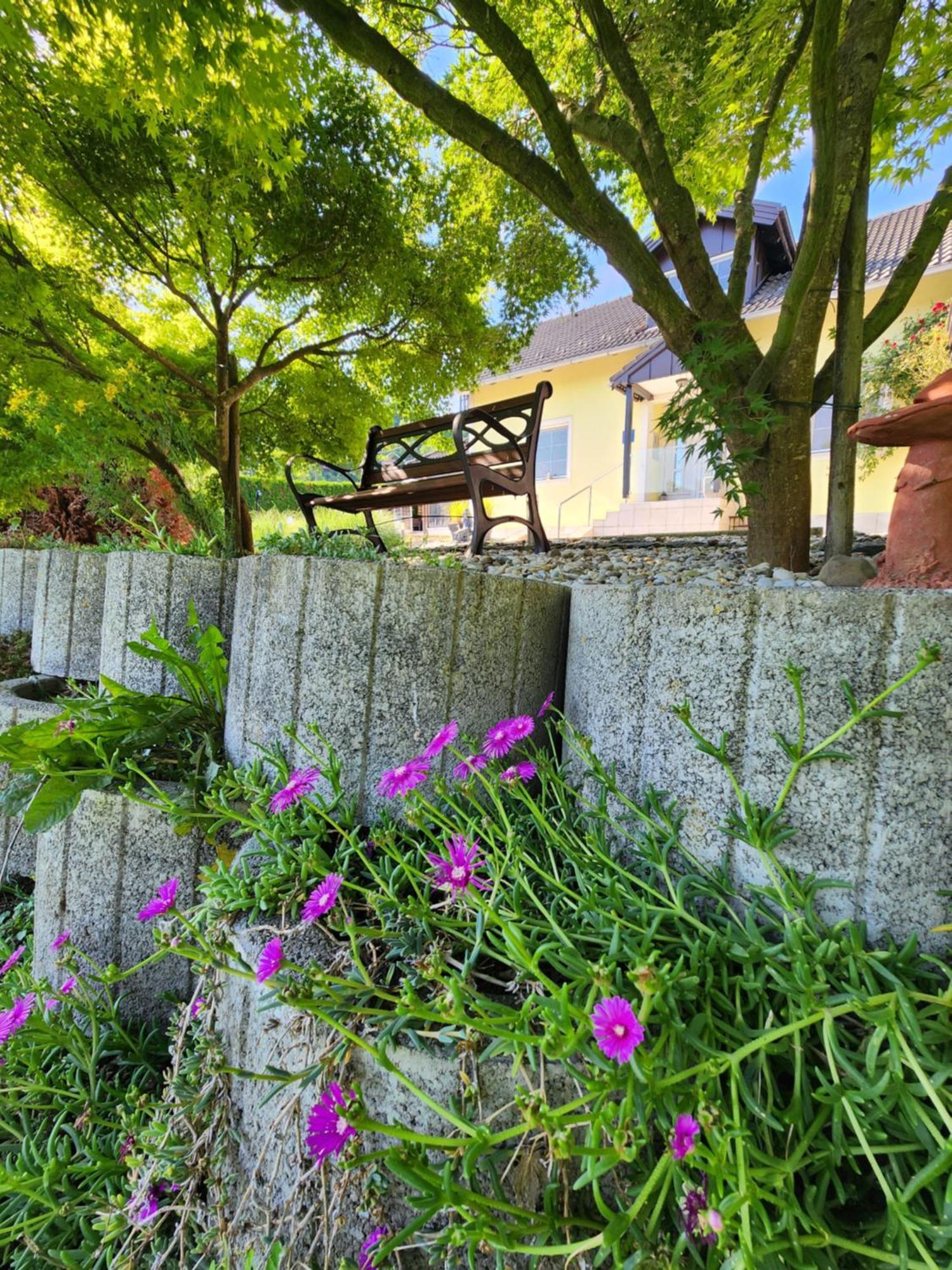 Villa Spa Magic Tuheljske Toplice Exterior photo